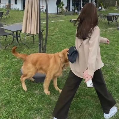 八角亭谜雾